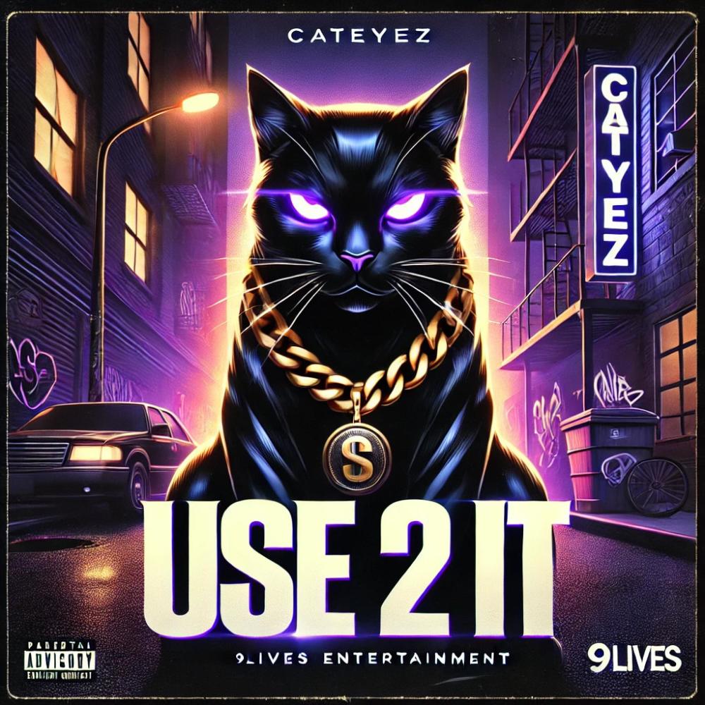 USE 2 IT (Explicit)