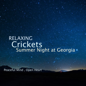 Relaxing Crickets Summer Night at Georgia