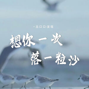 Album 想你一次落一粒沙 from 吕口口