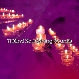Album 71 Mind Nourishing Sounds from White Noise Research