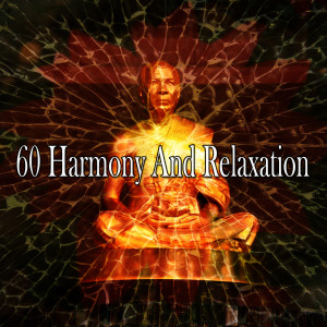 收聽Meditation Spa的Wise Music歌詞歌曲