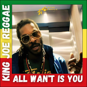 Album All I Wan't Is You from King Joe Reggae