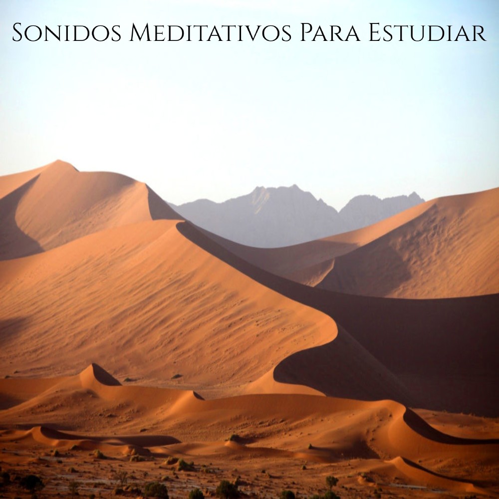 Sonidos Meditativos Para Estudiar