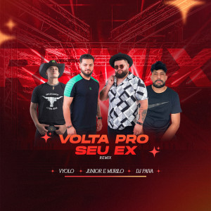 Vyolo的專輯Volta Pro Seu Ex (Remix)