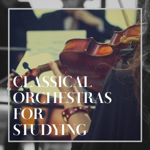 Various Artists的專輯Classical Orchestras for Studying