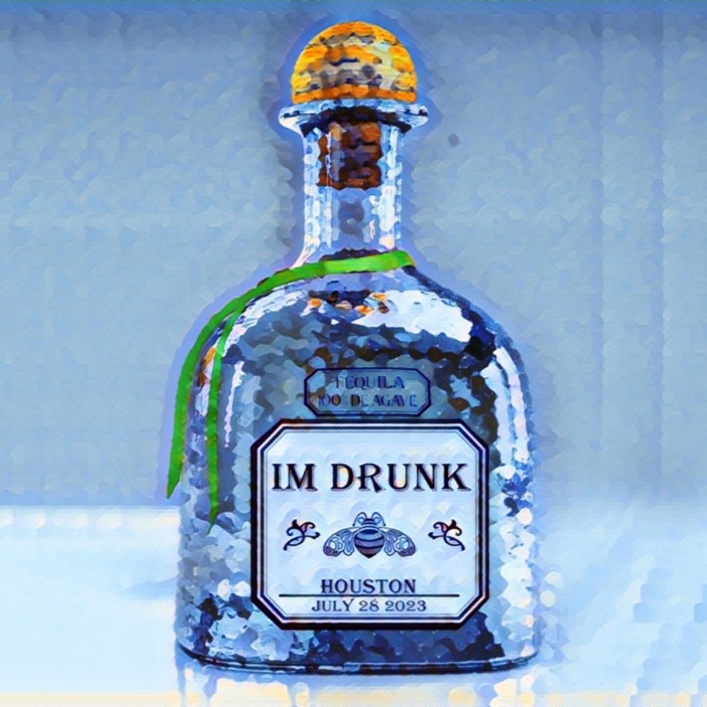 IM DRUNK (Explicit)
