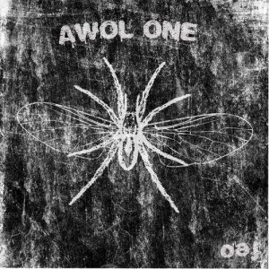 ดาวน์โหลดและฟังเพลง Perfect Love Song (Explicit) พร้อมเนื้อเพลงจาก Awol One