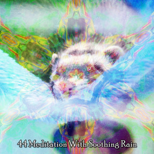 Album 44 Meditation With Soothing Rain from Serenity Spa Music Relaxation