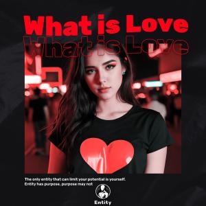 Listen to What Is Love song with lyrics from Sinna