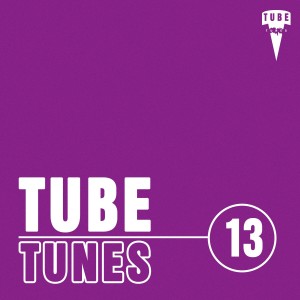 อัลบัม Tube Tunes, Vol.13 ศิลปิน Various Artists