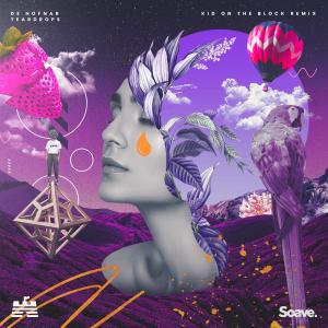 Listen to Teardrops (Kid On The Block Remix) song with lyrics from De Hofnar