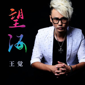 收聽王覺的望海歌詞歌曲