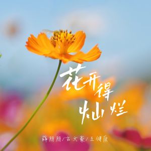 Listen to 花开得灿烂 song with lyrics from 薛朋朋