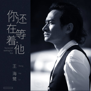 Listen to 你还在等着他 (伴奏) song with lyrics from 王海鹭
