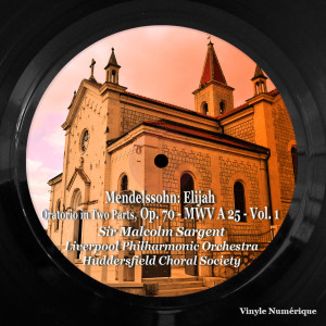 ดาวน์โหลดและฟังเพลง Elijah, Op. 70 - O man of God, help thy people! พร้อมเนื้อเพลงจาก Liverpool Philharmonic Orchestra