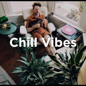 Lofi Sleep Chill & Study的專輯Chill Vibes