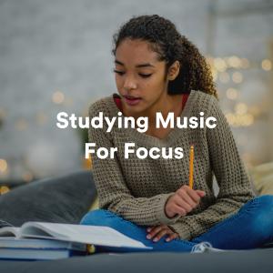 Listen to Studying Music For Focus, Pt. 10 song with lyrics from Musica Para Estudiar Academy