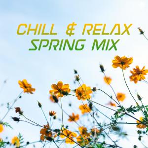 Album Chill & Relax Spring Mix oleh Various