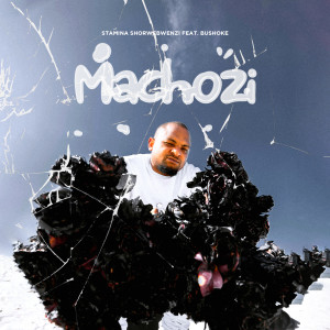 Album Machozi from Stamina Shorwebwenzi