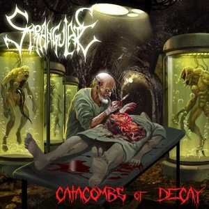 ดาวน์โหลดและฟังเพลง Blood and Bones (Explicit) พร้อมเนื้อเพลงจาก Strangulate