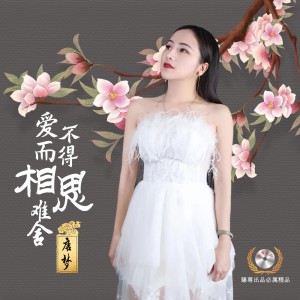 Listen to 爱而不得相思难舍（DJ佐罗版） (完整版) song with lyrics from 唐梦