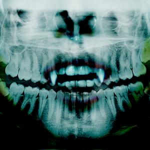 收聽Raken的PAYPAL (Explicit)歌詞歌曲