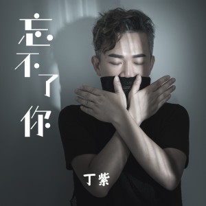 Album 忘不了你 from 丁紫