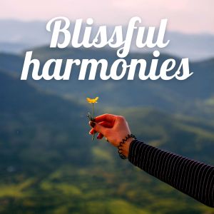 Album Blissful harmonies oleh Soothing Music