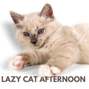 Cat Music的專輯Lazy Cat Afternoon