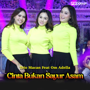 收聽Trio Macan的Cinta Bukan Sayur Asem歌詞歌曲