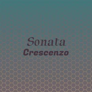 Various Artists的專輯Sonata Crescenzo