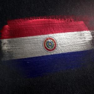 Listen to De mi raza Guaraní song with lyrics from Voces de América