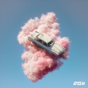 Album 25 from Ossh