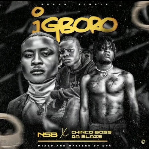 Album Omo Igboro (Explicit) oleh NSB