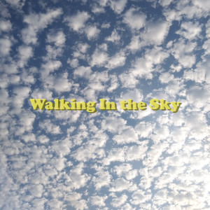 Album Walking In The Sky oleh Daniel Kim