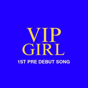 Dengarkan Vip Girl lagu dari VIP dengan lirik