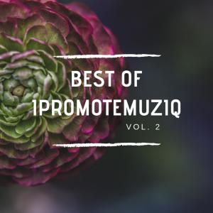 Album Best of Ipromotemuziq Vol. 2 (Explicit) oleh Various