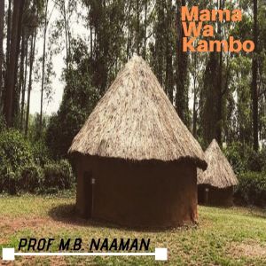 Listen to Amina song with lyrics from Prof. N. B. Naaman