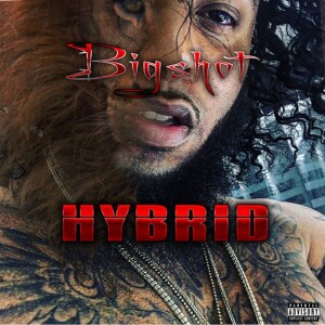 Album Hybrid (Explicit) from 