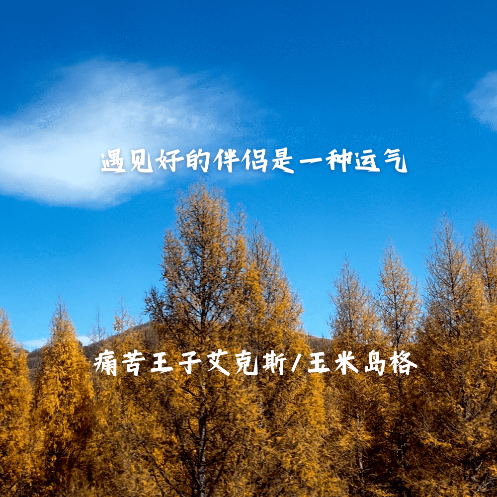 遇见好的伴侣是一种运气
