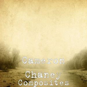 ดาวน์โหลดและฟังเพลง Dragon's Fire พร้อมเนื้อเพลงจาก Cameron Chaney