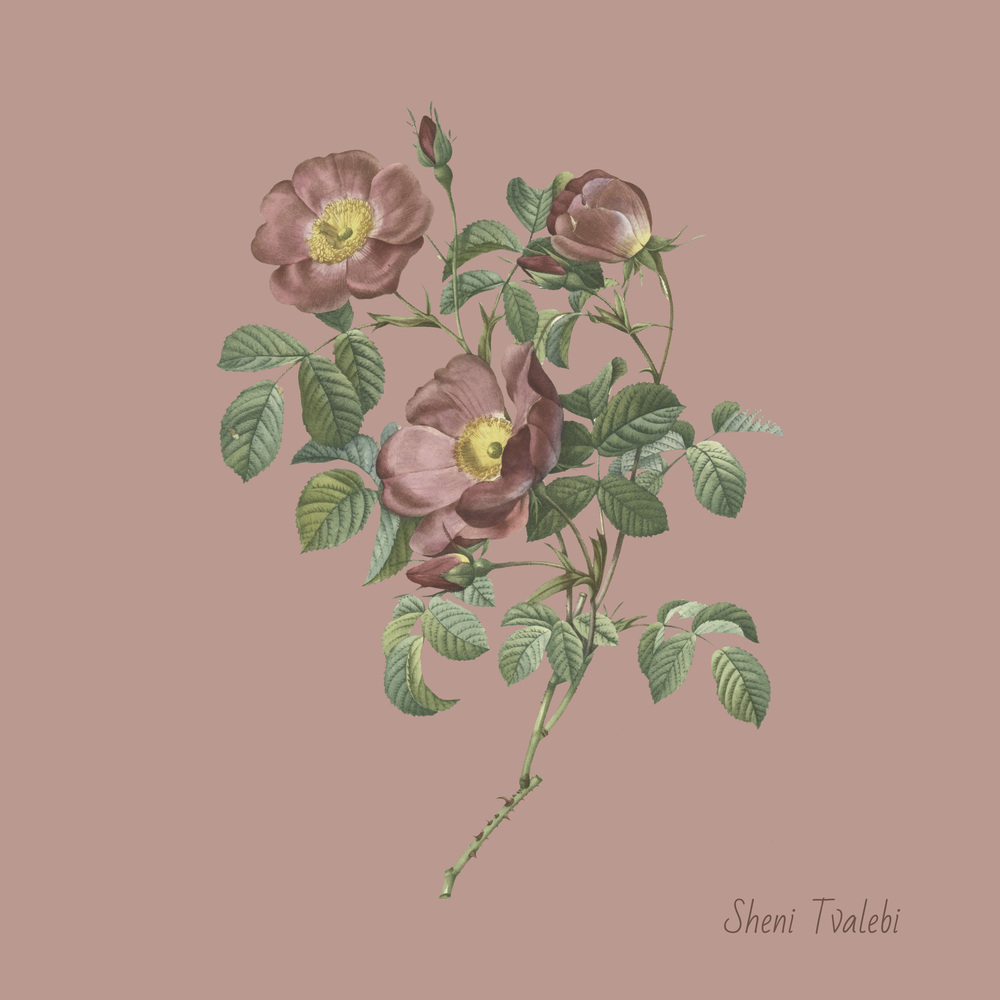Sheni Tvalebi