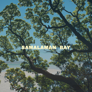 Album Samalaman Bay from Roo Panes