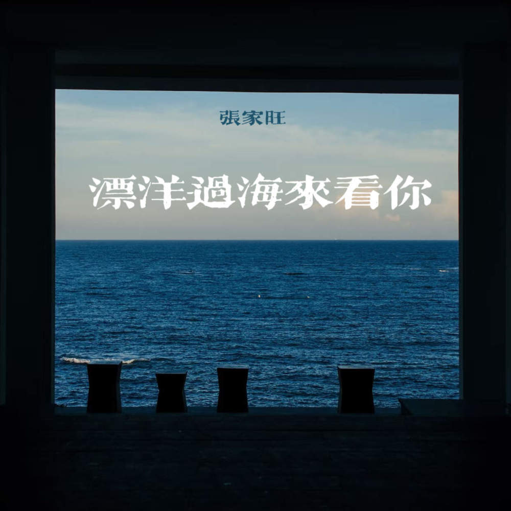 漂洋过海来看你 (DJ男生版伴奏)