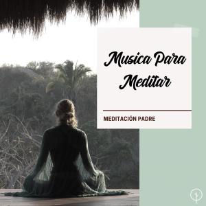 Album Musica Para Meditar from Meditación Padre
