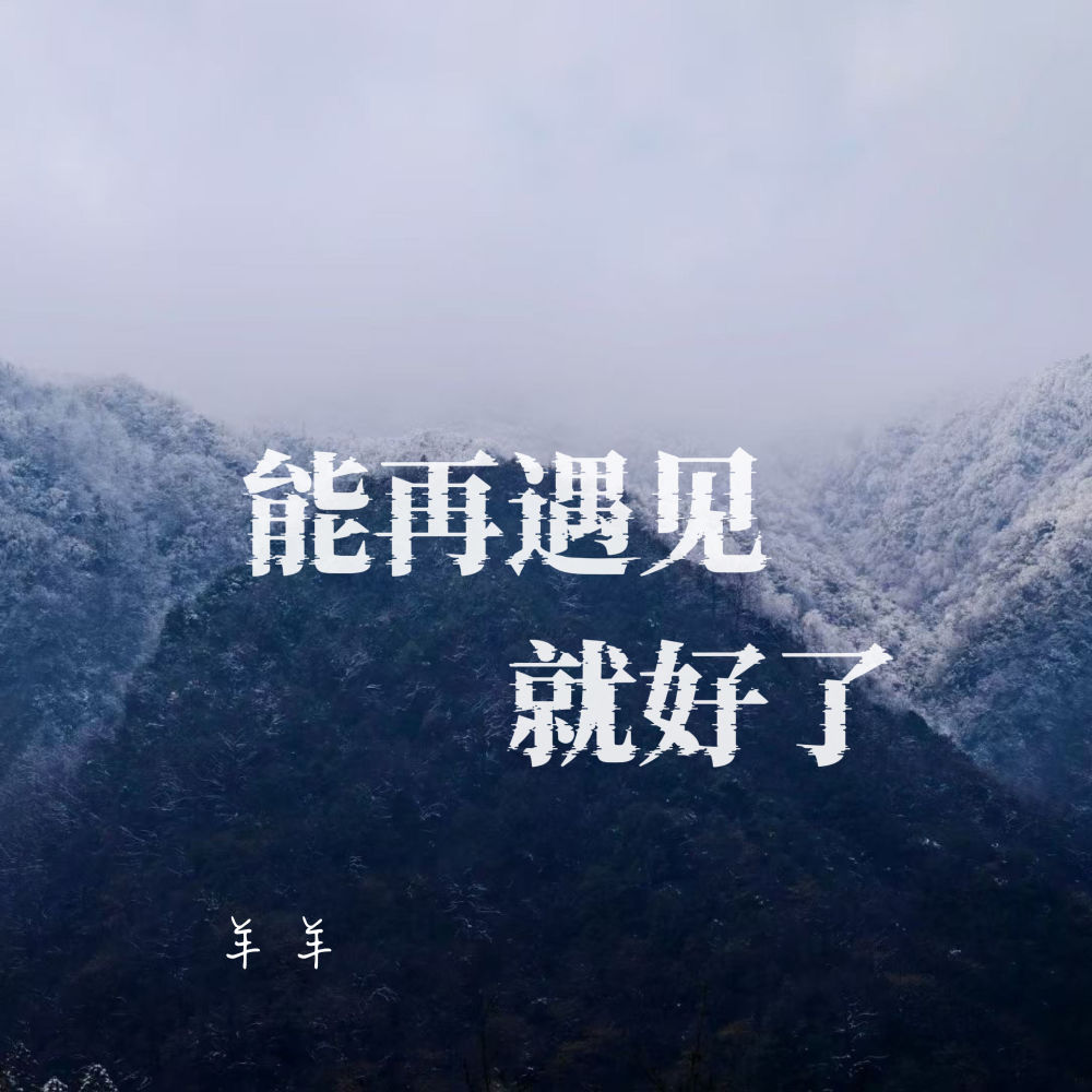 能再遇见就好了