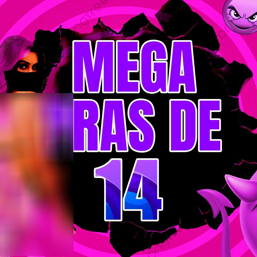 MEGA PRAS DE 14 (feat. MC PEDRIN DO ENGENHA)