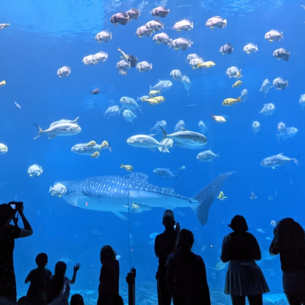 Aquarium