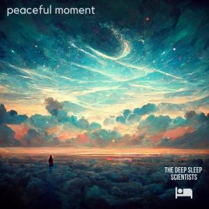 The Deep Sleep Scientists的专辑Peaceful Moment