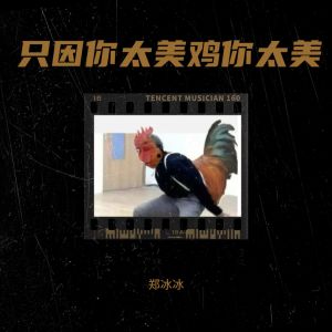 收聽鄭冰冰的只因你太美雞你太美 (完整版)歌詞歌曲
